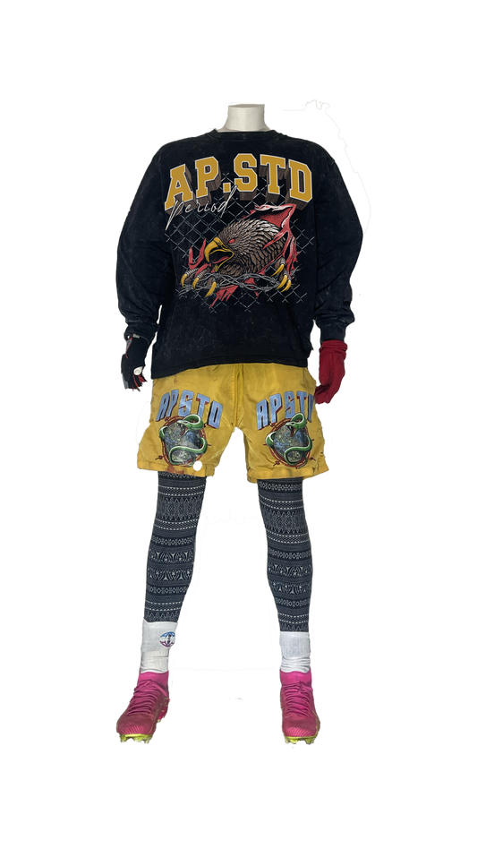 AP Eagle Heavy Long Sleeve Tee Stone Grey